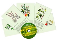 Интерактивный наглядный комплекс "Гербарий "Для начальной школы" - fgospostavki.ru - Саратов