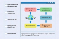 Интерактивные курсы. Информатика 10 класс . Базовый. - fgospostavki.ru - Саратов