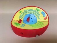 Модель растительной клетки - fgospostavki.ru - Саратов