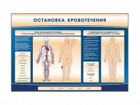 Электрифицированный стенд-тренажер "Остановка кровотечения" - fgospostavki.ru - Саратов