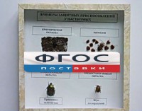 Коллекция энтомологическая "Примеры защитных приспособлений у насекомых" - fgospostavki.ru - Саратов