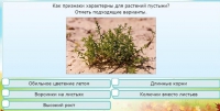 Интерактивные курсы. Окружающий мир 3 класс . Базовый. - fgospostavki.ru - Саратов