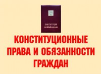 Комплект плакатов "Конституционные права и обязанности граждан" - fgospostavki.ru - Саратов