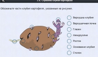 Интерактивные курсы. Биология 6 класс. Расширенный - fgospostavki.ru - Саратов