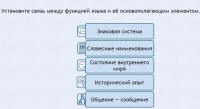 Интерактивные курсы. Русский язык 7 класс . Базовый. - fgospostavki.ru - Саратов