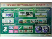 Электрифицированный стенд "Уровни организации жизни" - fgospostavki.ru - Саратов