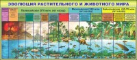 Стенд "Эволюция растительного и животного мира" - fgospostavki.ru - Саратов
