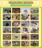 Стенд "Красная книга - млекопитающие" - fgospostavki.ru - Саратов