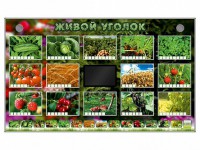 Комплект оборудования "Живой уголок" (растения) - fgospostavki.ru - Саратов