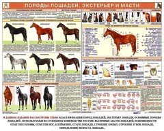 Комплект плакатов "Служебное коневодство" - fgospostavki.ru - Саратов