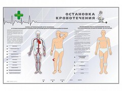 Электрифицированный стенд "Остановка кровотечения" - fgospostavki.ru - Саратов