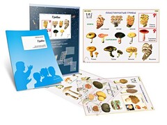 Комплект кодотранспарантов "Грибы" - fgospostavki.ru - Саратов