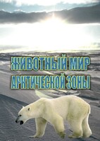 DVD "Животный мир Арктической зоны" - fgospostavki.ru - Саратов