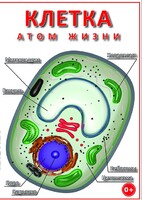 DVD "Клетка - "атом жизни" - fgospostavki.ru - Саратов