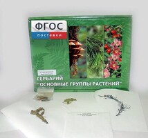 Гербарий "Основные группы растений" (52 листа) - fgospostavki.ru - Саратов