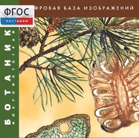 Ботаника. Микрофотографии. (Цифровая база изображений) - fgospostavki.ru - Саратов