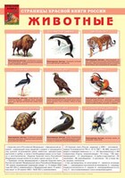 Комплект плакатов "Красная Книга России (животные, растения)" - fgospostavki.ru - Саратов