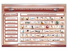 Трехсекционный базовый комплект "Травмы. Кровотечения. Ожоги" для учащихся общеобразовательных учреждений - fgospostavki.ru - Саратов