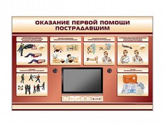 Многофункциональный интерактивный стенд-тренажер "Оказание первой помощи пострадавшим" для учащихся общеобразовательных учреждений - fgospostavki.ru - Саратов