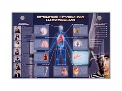 Электрифицированный стенд "Вредные привычки: наркомания" - fgospostavki.ru - Саратов
