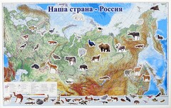 Магнитные карточки "Животные" - fgospostavki.ru - Саратов