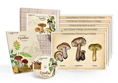 Комбинированное наглядное пособие  «Грибы» - fgospostavki.ru - Саратов