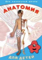 DVD "Анатомия для детей" - fgospostavki.ru - Саратов