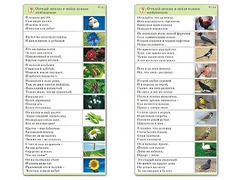 Комплект карточек (10) "Обучающий калейдоскоп. Природа" - fgospostavki.ru - Саратов