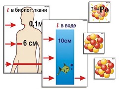 Модель-аппликация "Явление радиоактивности" (ламинированная) - fgospostavki.ru - Саратов