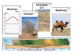 Модель-аппликация "Природные зоны" - fgospostavki.ru - Саратов