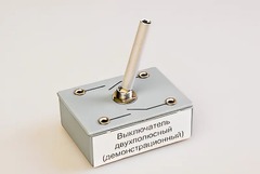 Выключатель двухполюсный (демонстрационный) - fgospostavki.ru - Саратов