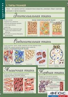 Комплект таблиц. Биология 8-9 класс. Человек. - fgospostavki.ru - Саратов