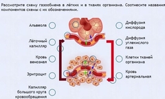 Интерактивные курсы. Биология 9 класс. Расширенный. - fgospostavki.ru - Саратов