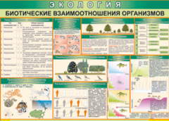 Таблица "Биотические взаимоотношения организмов" (100х140 сантиметров, винил) - fgospostavki.ru - Саратов