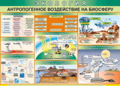 Таблица "Антропогенное воздействие на биосферу" (100х140 сантиметров, винил) - fgospostavki.ru - Саратов