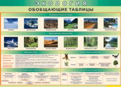 Таблица "Экология. Обобщающие таблицы" (100х140 сантиметров, винил) - fgospostavki.ru - Саратов