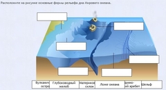 Интерактивные курсы. География 7 класс . Базовый. - fgospostavki.ru - Саратов