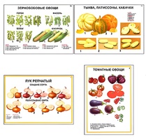 Плакаты ПРОФТЕХ "Ассортимент овощных культур" (12 пл, винил, 70х100) - fgospostavki.ru - Саратов