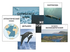 Модель-аппликация "Океаны. Знакомство" (ламинированная) - fgospostavki.ru - Саратов