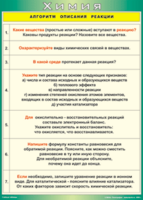Таблица "Алгоритм описания реакции" (100х140 сантиметров, винил) - fgospostavki.ru - Саратов