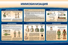 Стенд "Иммобилизация" - fgospostavki.ru - Саратов