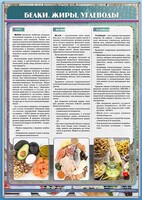 Стенд "Белки. Жиры. Углеводы" - fgospostavki.ru - Саратов