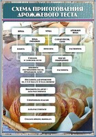 Стенд "Схема приготовления дрожжевого теста" - fgospostavki.ru - Саратов