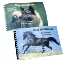 Пособие для слабовидящих - Домашние животные - fgospostavki.ru - Саратов