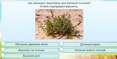 Интерактивные курсы. Окружающий мир 3 класс . Базовый. - fgospostavki.ru - Саратов