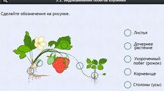 Интерактивные курсы. Биология 7 класс. Расширенный. - fgospostavki.ru - Саратов