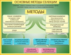 Стенд "Методы селекции и биотехнологии" - fgospostavki.ru - Саратов