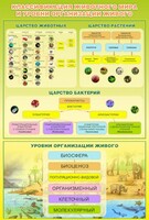 Стенд "Классификация животного мира" - fgospostavki.ru - Саратов