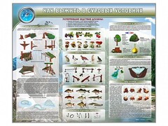 Стенд "Как выжить в суровых условиях" - fgospostavki.ru - Саратов