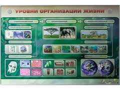 Электрифицированный стенд "Уровни организации жизни" - fgospostavki.ru - Саратов